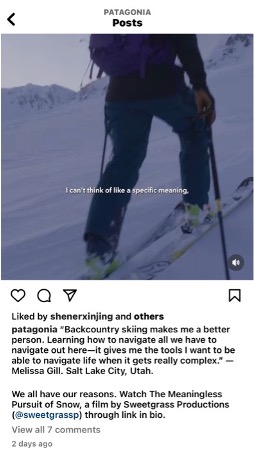 Screenshot Instagram de patagonia sur le user generated content et employees generated content