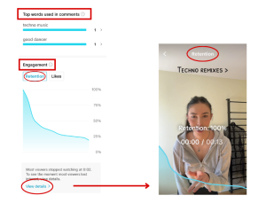 inside TikTok Analytics