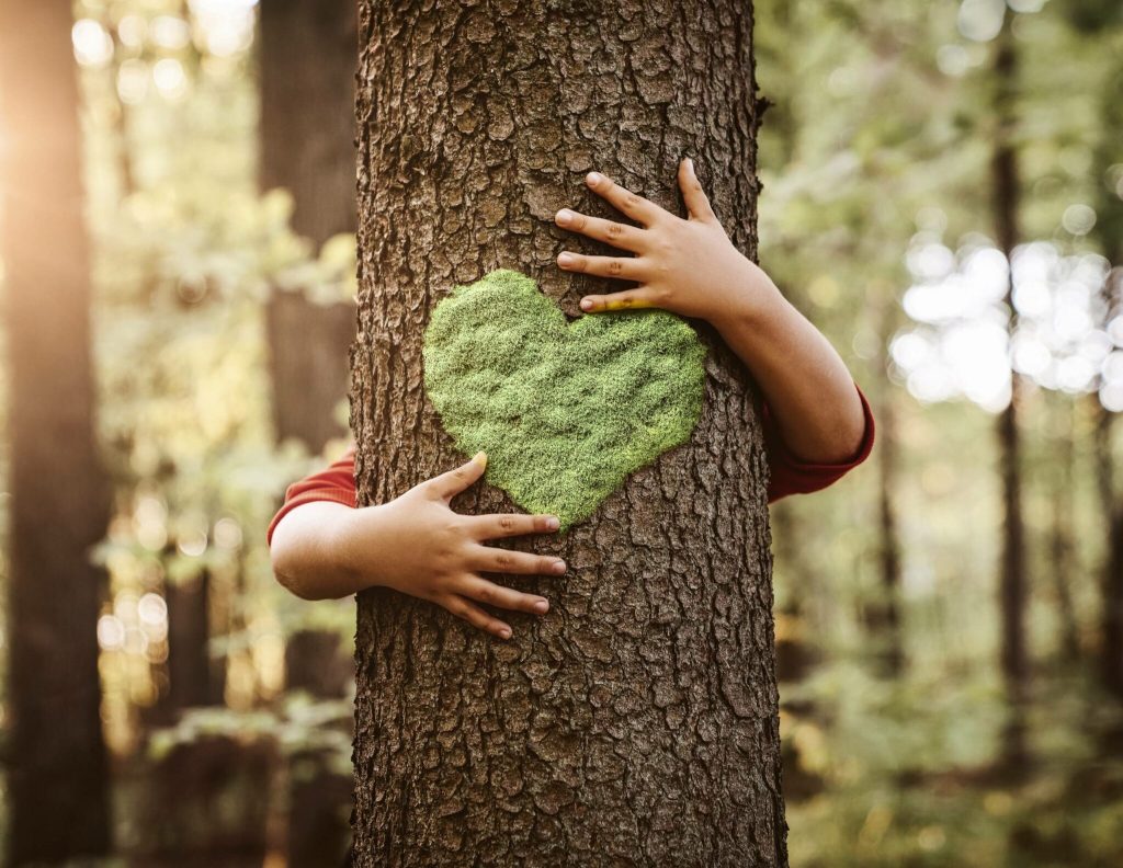 https://digital.hec.ca/wp-content/uploads/2024/11/OneTree-31-1024x792.jpeg alt="préserver la nature avec des chalets éco-responsables">