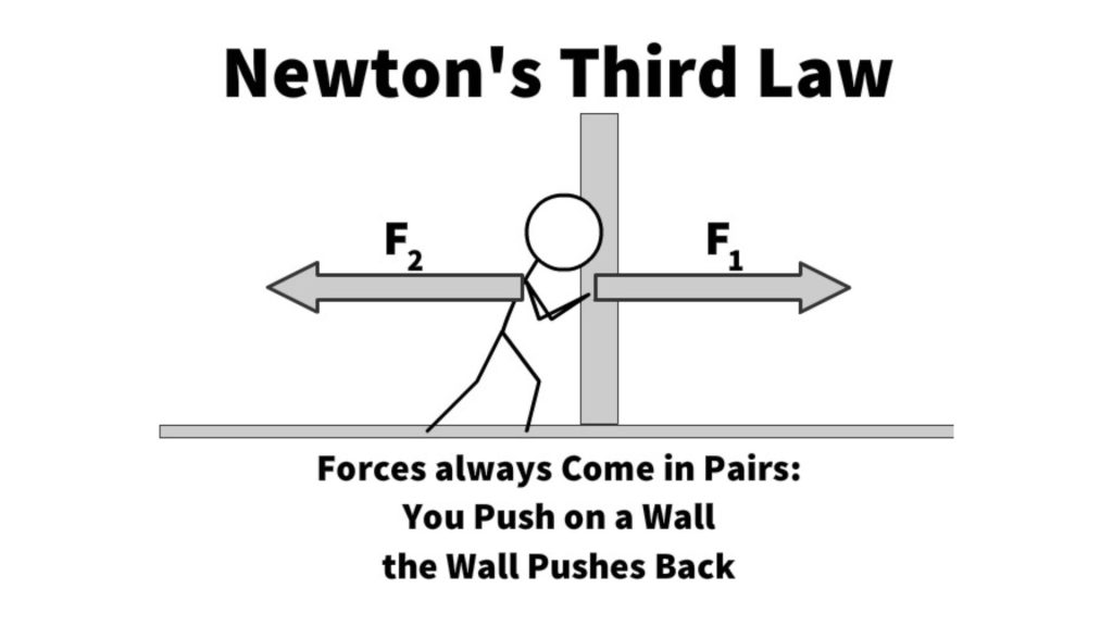 Newton's third law: every action must come with an equal and opposite reaction. In the age of AI automation, businesses need to consider adding live video chat sales tools to their website's functionality.