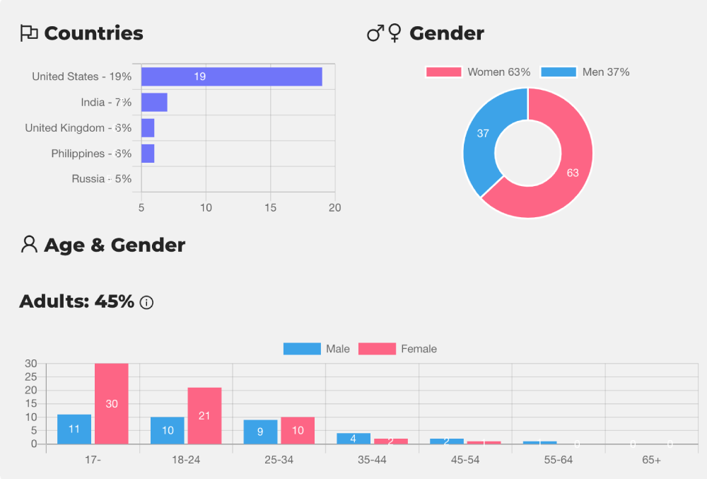 Analyzing TikTok Insights, showing data of audience demographics
