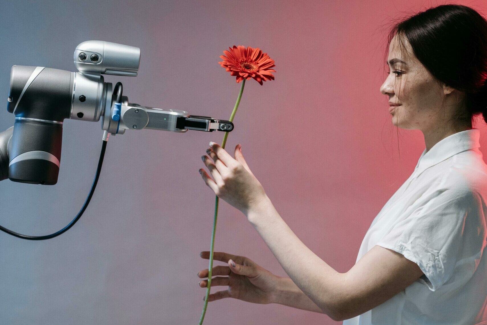 A robot handing a flower to a woman, symbolizing the connection between human marketing, algorithms, and desire
