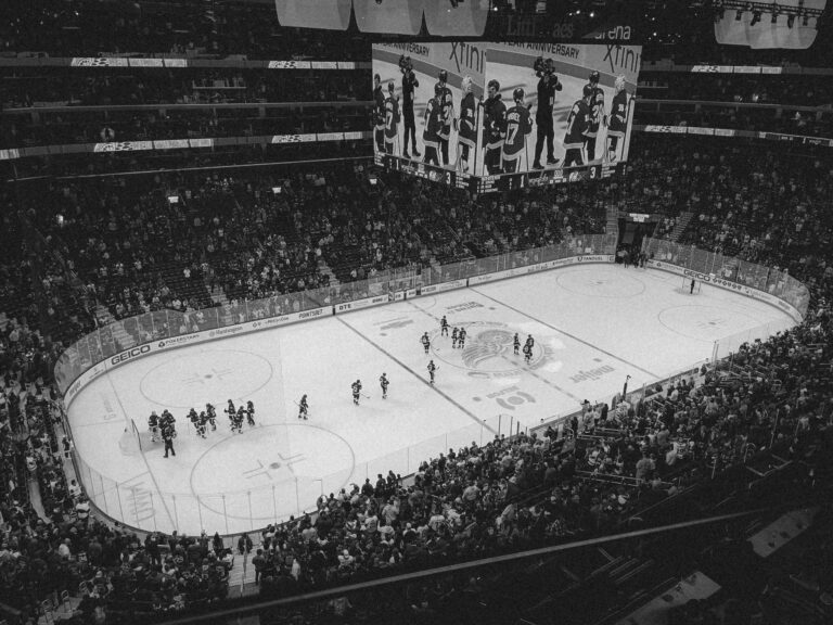 Fans de hockey dans une aréna