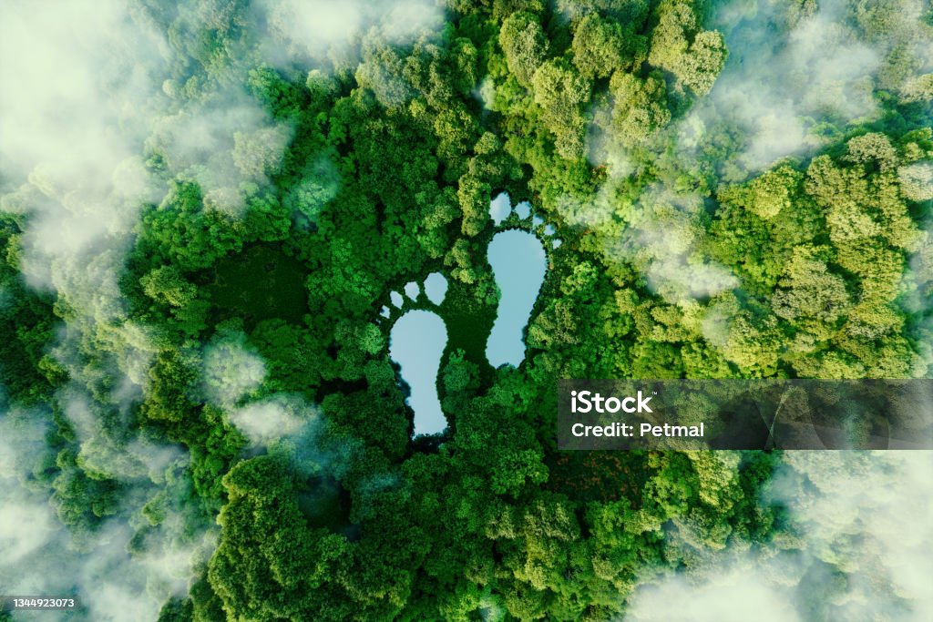3D rendering of a lake shaped like human footprints in a lush forest symbolizing human environmental impact